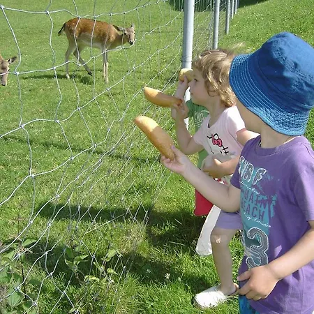 דירה Appartements Am Stein