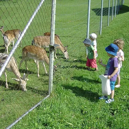 דירה Appartements Am Stein *