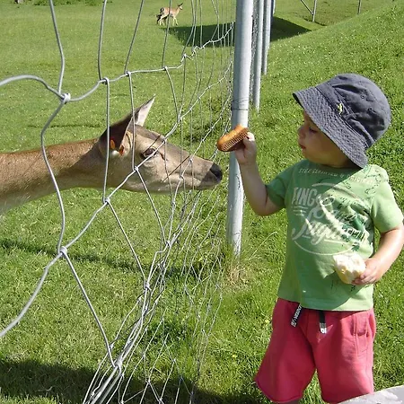 Appartements Am Stein דירה